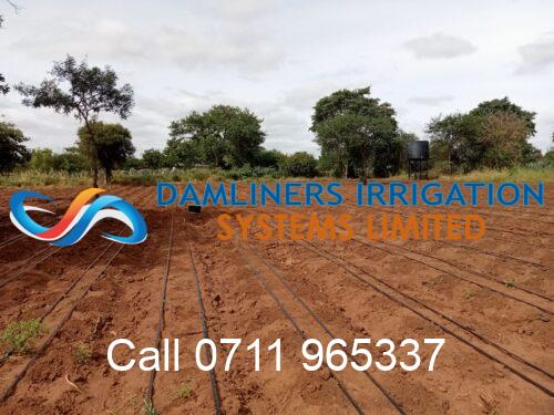 Upgrade your farm or garden with Drip Irrigation