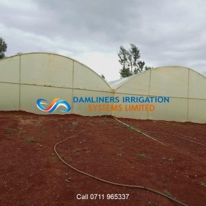 Greenhouse in Kenya