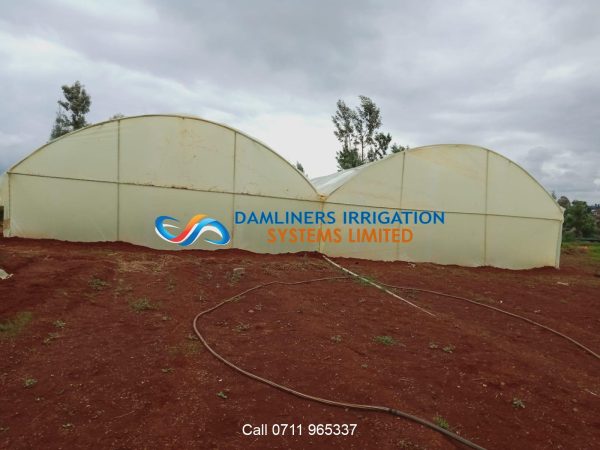 Greenhouse in Kenya