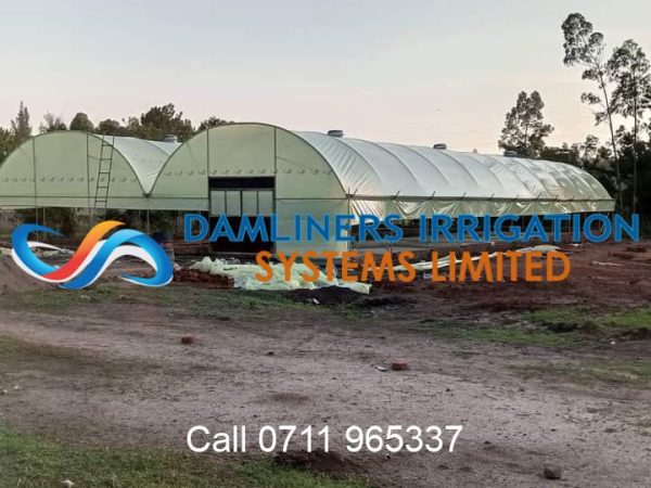 Metallic Greenhouse