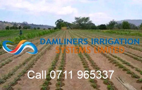 Drip Irrigation System